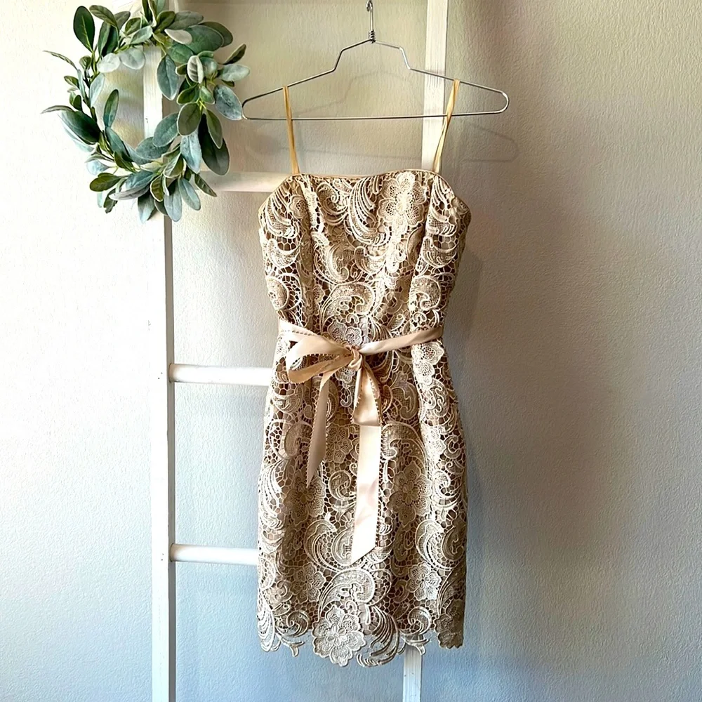 Adrianna Papell- Strapless, Laced Cocktail Dress- Sz 4 - Picture 3 of 8